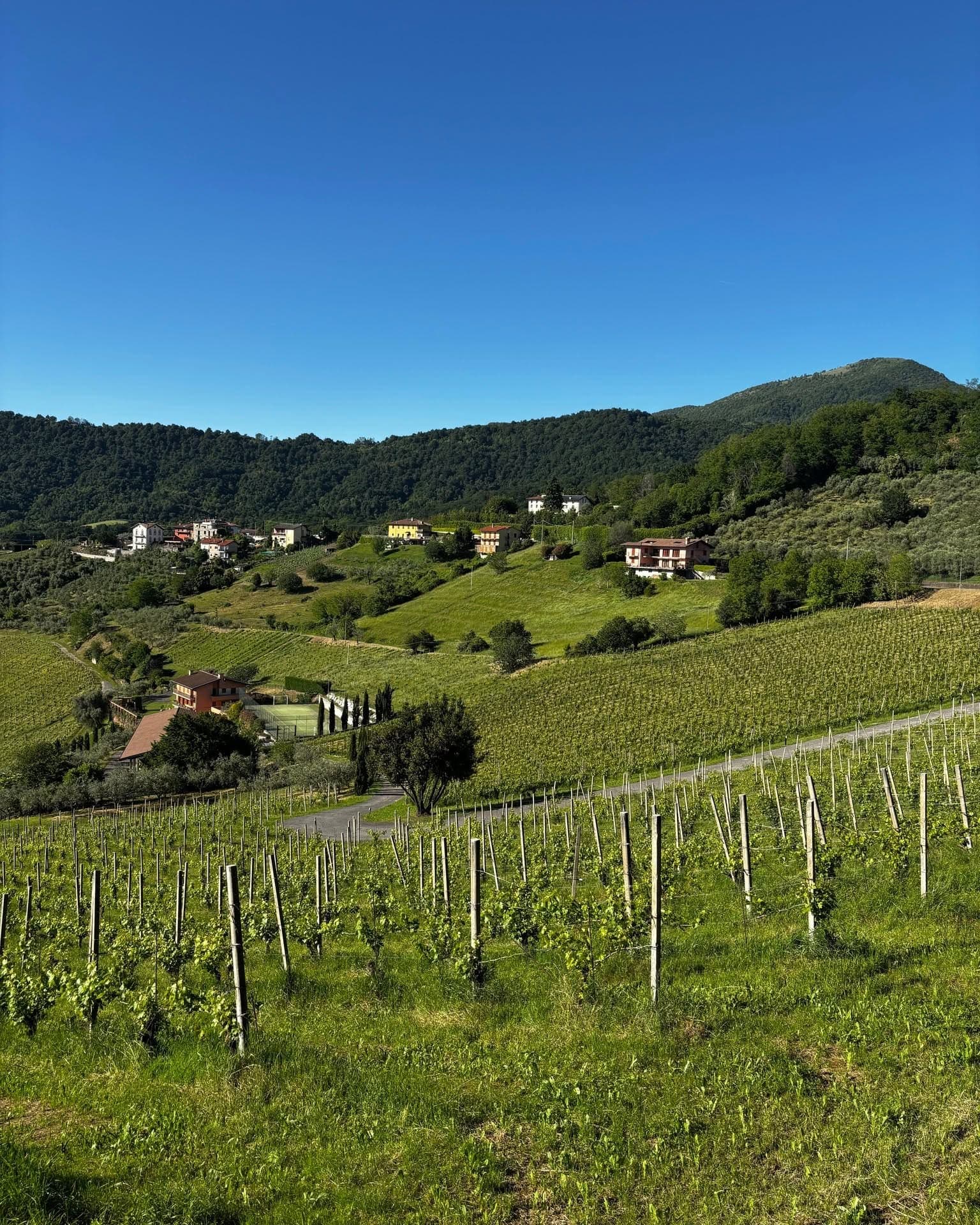 Apericena vista colline di Scanzo con dj set — foto 3