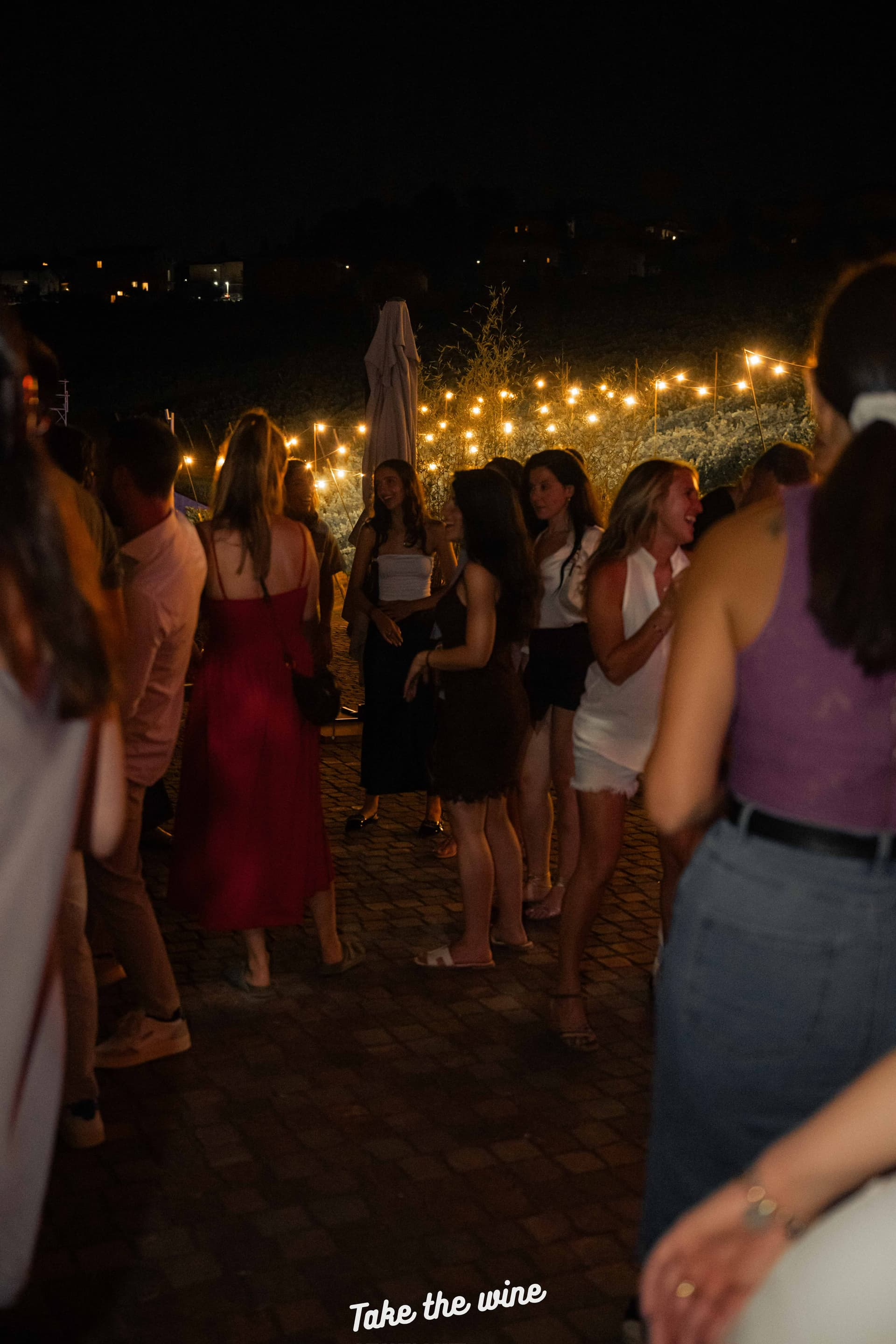 Take the Wine Cantina Martinelli — foto 5