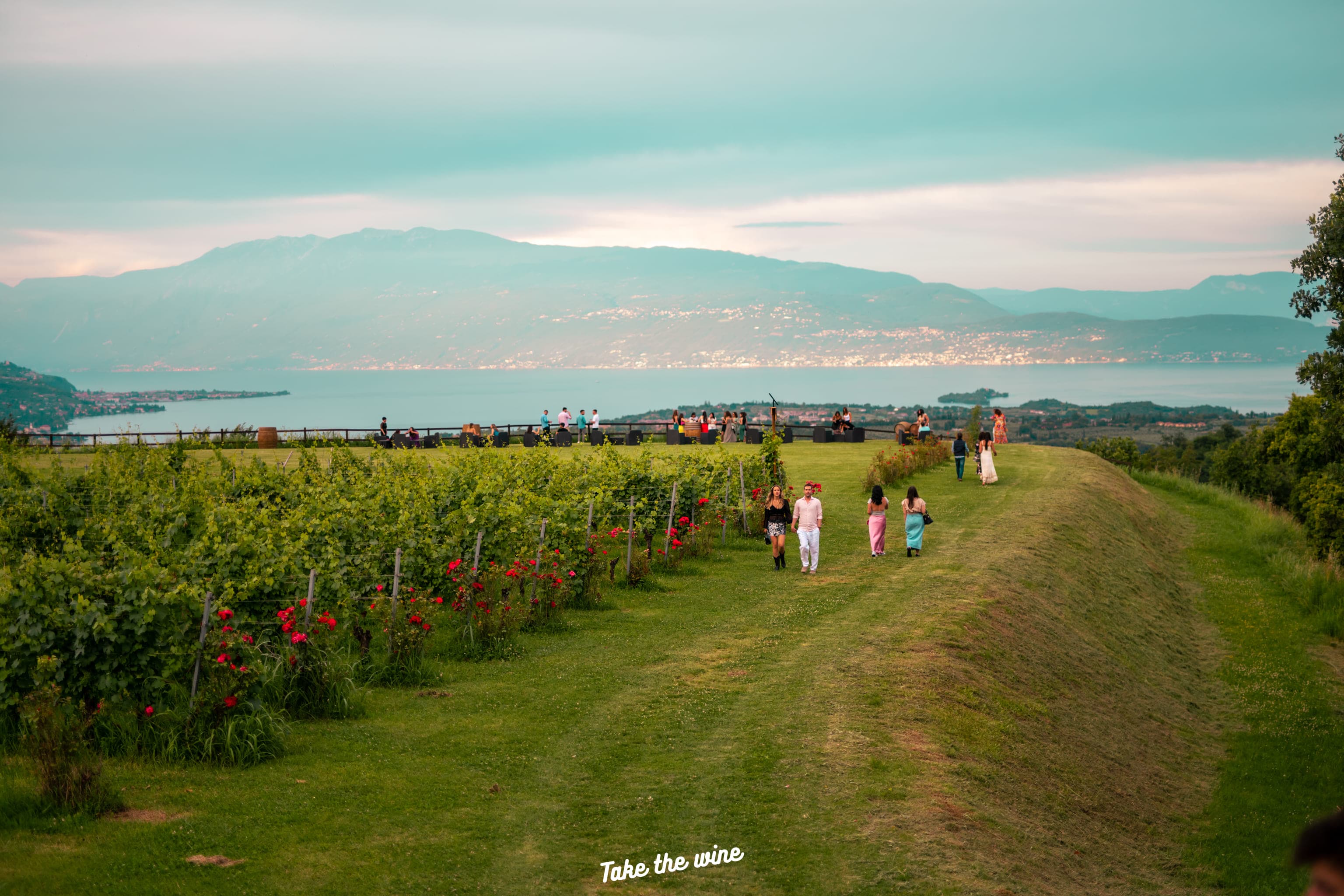 Take the wine Terrazza Trevisani — foto 2