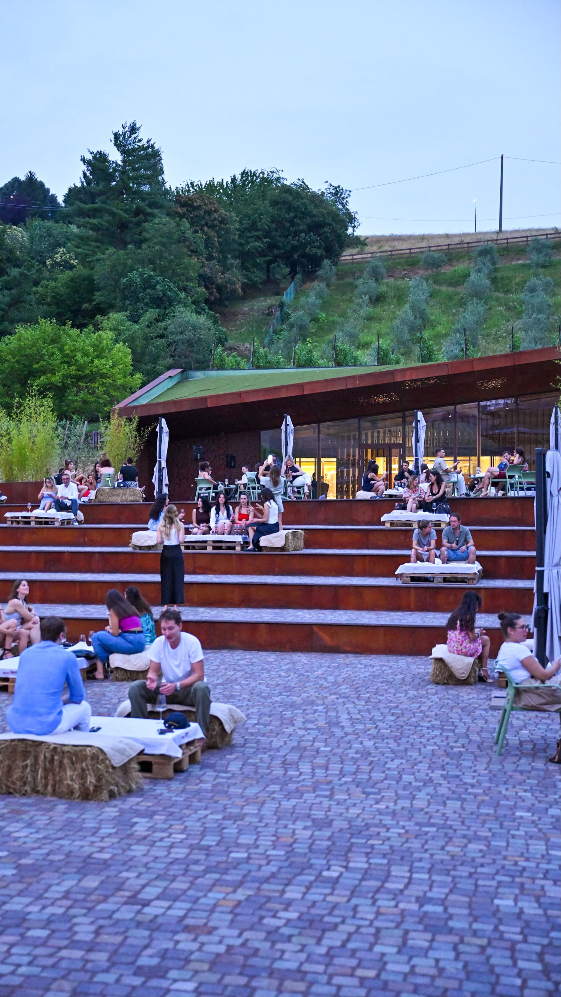 Take the Wine Cantina Martinelli — foto 6