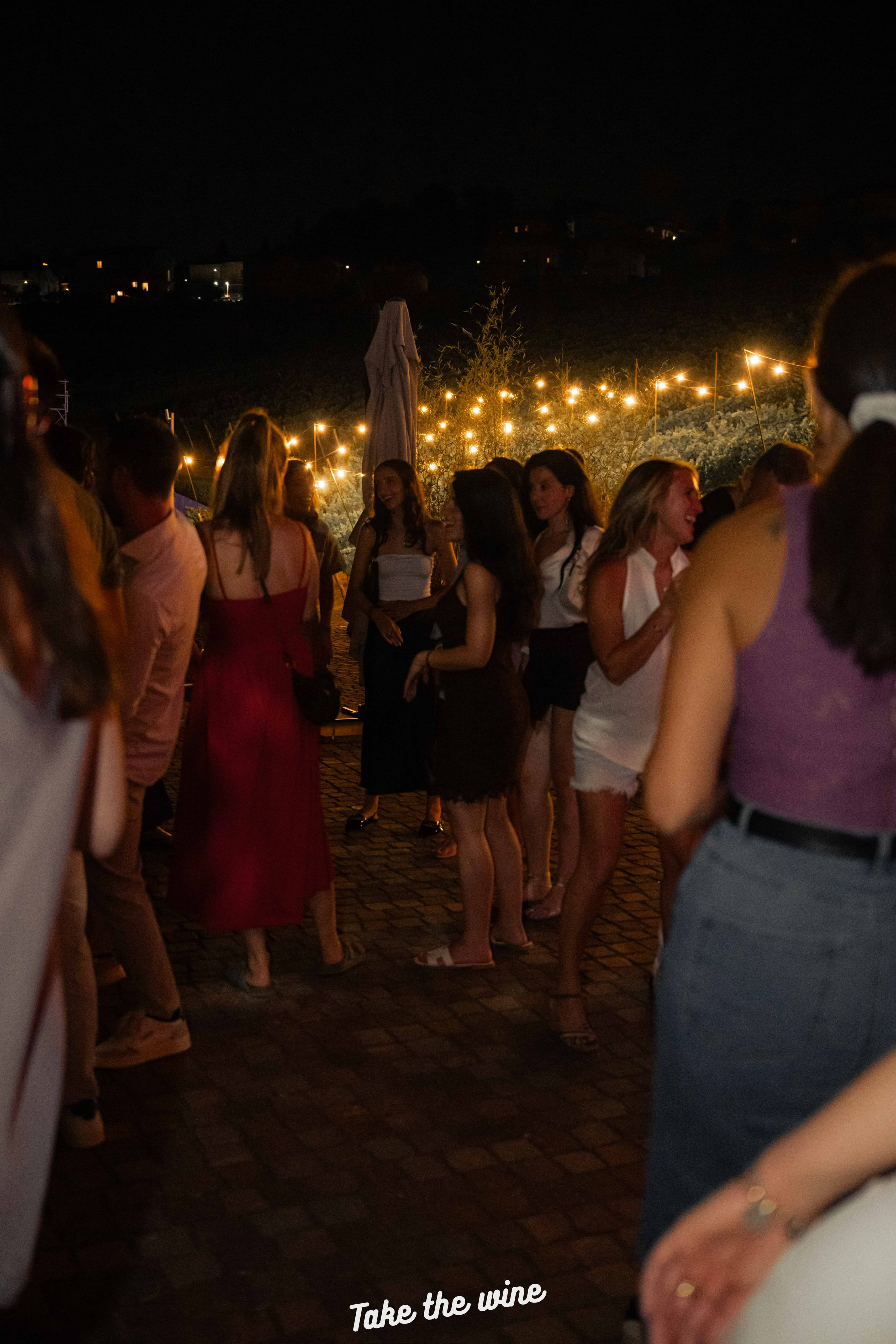 Take the Wine Cantina Martinelli — foto 5